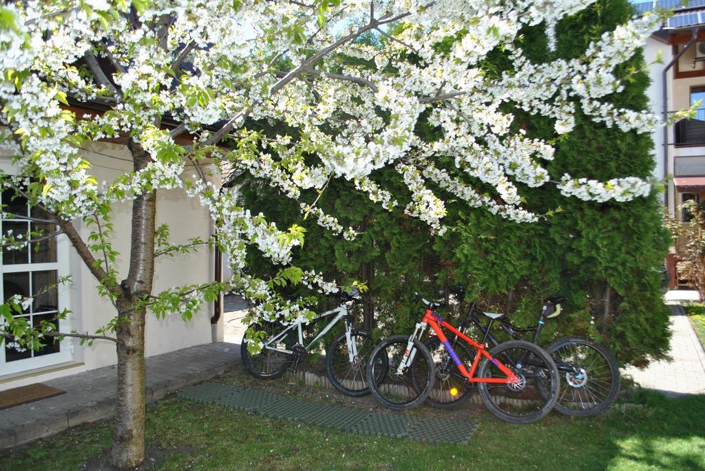 Apartament Beta Apartment Bistriţa Екстериор снимка